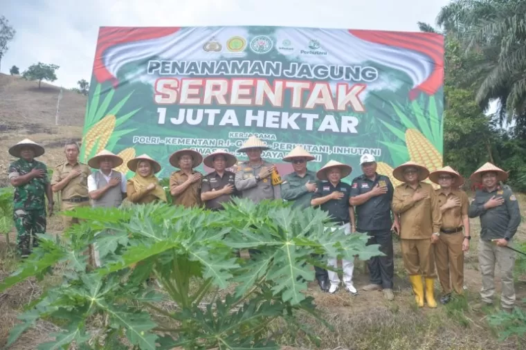 Bupati Agam yang diwakili oleh Kepala Dinas Pertanian Kabupaten Agam, Arief Restu, menghadiri kegiatan penanaman jagung serentak seluas 1 juta hektar