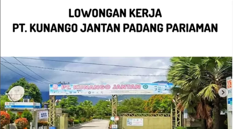 Dibuka! Lowongan Staff IT di PT. Kunango Jantan Group, Penempatan Pekanbaru