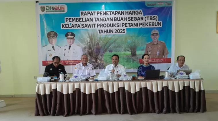 Harga TBS Kelapa Sawit Kalteng Periode II Januari 2025 Ditetapkan, Masih Lebih Tinggi dari Kalbar