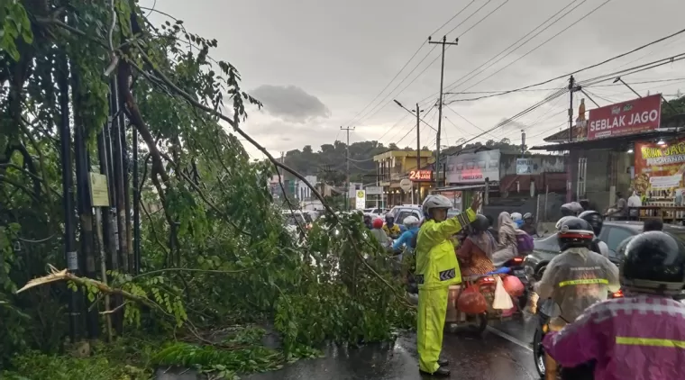 Hujan Deras Disertai Angin Kencang Terjang Bandar Lampung, Polda Lampung Imbau Warga Waspada