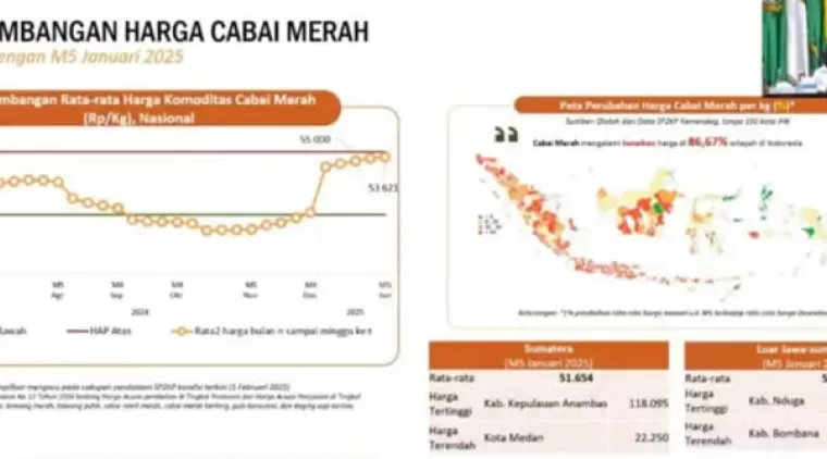 Jelang Ramadan 2025, BPS Ingatkan Kenaikan Harga Telur dan Daging Ayam Ras