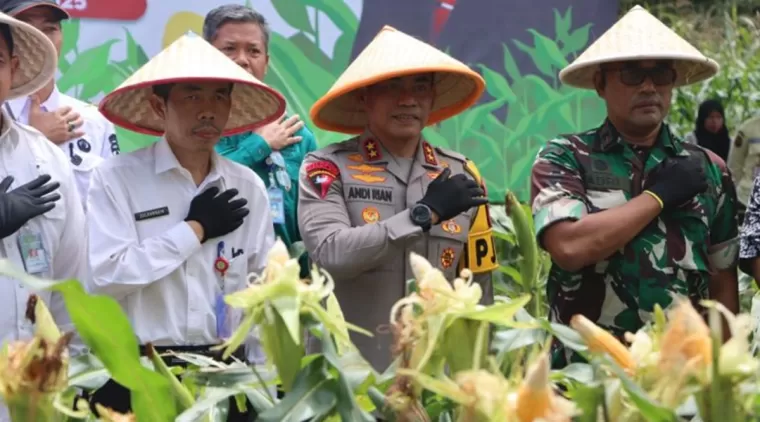 Kapolda Sumsel Irjen Pol Andi Rian Berikan Bantuan Pupuk dan Sembako kepada Kelompok Tani Jagung