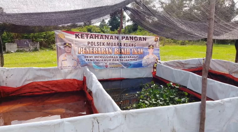 Polsek Muara Kuang Monitoring Program Ketahanan Pangan Budidaya Kolam Ikan