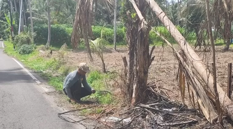 Teknisi ALKAL/PJU sedang tugas rutin di lapangan memperbaiki kabel PJU yang putus di Pungguang Ladiang.(Trisnaldi).