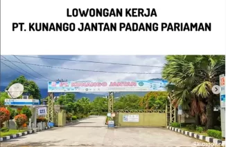 Dibuka! Lowongan Staff IT di PT. Kunango Jantan Group, Penempatan Pekanbaru