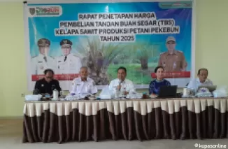 Harga TBS Kelapa Sawit Kalteng Periode II Januari 2025 Ditetapkan, Masih Lebih Tinggi dari Kalbar