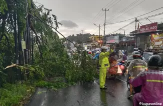 Hujan Deras Disertai Angin Kencang Terjang Bandar Lampung, Polda Lampung Imbau Warga Waspada