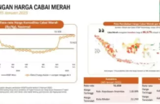 Jelang Ramadan 2025, BPS Ingatkan Kenaikan Harga Telur dan Daging Ayam Ras