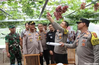 Kapolres Ogan Ilir AKBP Bagus Suryo Tinjau Kebun Anggur Dan Penggemukan Sapi