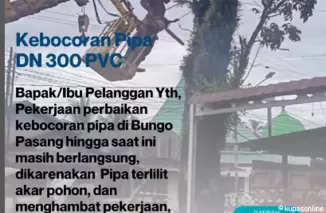 Perbaikan Pipa Bocor di Bungo Pasang Terkendala Akar Pohon, Tim Teknis Terus Berupaya