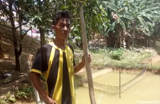 Peternak Ikan Nila di Bintan Berharap Bantuan Bibit dari Pemerintah