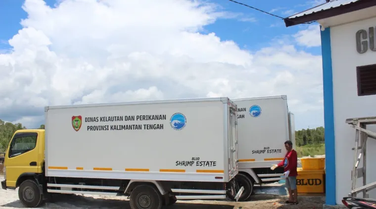 Kalteng Dorong Tambak Udang Vaname untuk Tingkatkan Ekonomi dan Serap Tenaga Kerja