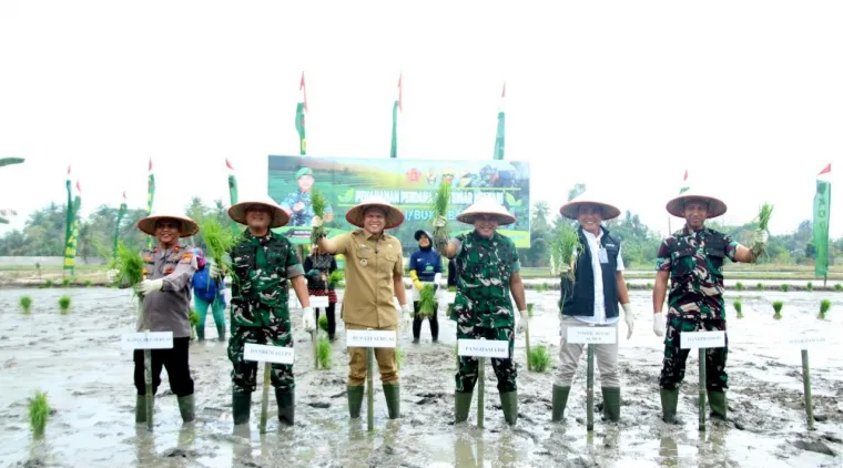 TNI dan Pemkab Sergai Bersinergi Kembangkan Produksi Padi Varietas Unggul