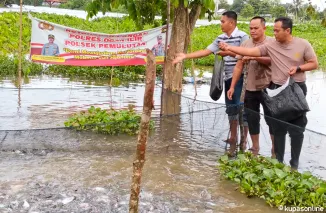 Polsek Pemulutan Polres Ogan Ilir Dukung Program Ketahanan Pangan Melalui Budidaya Ikan