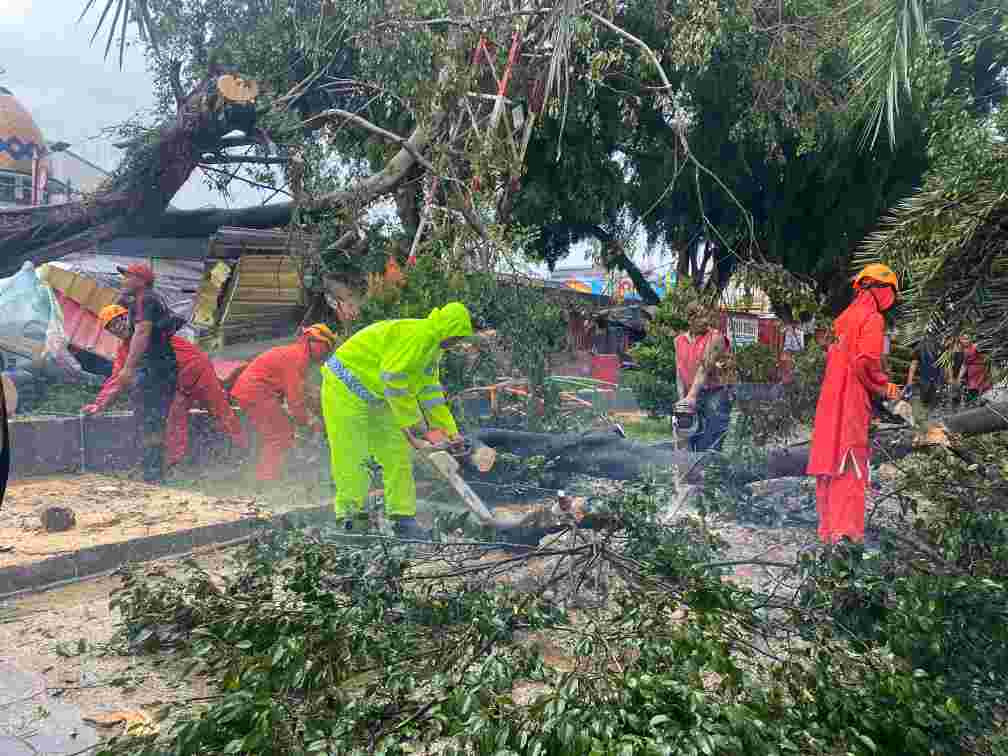 Foto Akibat Hujan Disertai Angin Pohon Besar Tumbang Timpa Sejumlah Kios PKL, Polres Blitar Kota Gercep Bantu Evakuasi