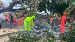 Foto Akibat Hujan Disertai Angin Pohon Besar Tumbang Timpa Sejumlah Kios PKL, Polres Blitar Kota Gercep Bantu Evakuasi