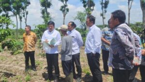 Foto Menteri ATR RI Berikan Sertifikat Redistribusi Bekas HGU, Ketua Paguyuban Mangli Bersatu : Semoga Bisa Untuk Kesejahteraan Petani