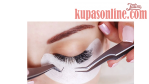 Bisnis Eyelash Extension