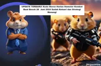 UPDATE TERBARU! Kode Morse Harian Hamster Kombat Buat Besok 28  Juni 2024 Sudah Keluar! dan Strategi Menang!