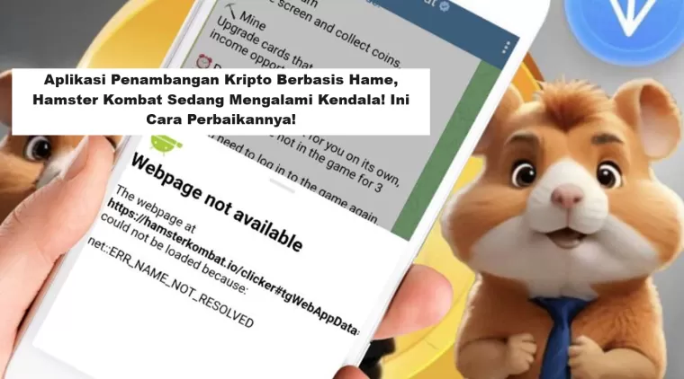 Aplikasi Penambangan Kripto Berbasis Hame, Hamster Kombat Sedang Mengalami Kendala! Ini Cara Perbaikannya! (Foto: BeritaBulukumba)