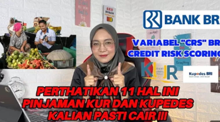 11 Variabel yang Mempengaruhi Persetujuan Pinjaman KUR BRI 2024