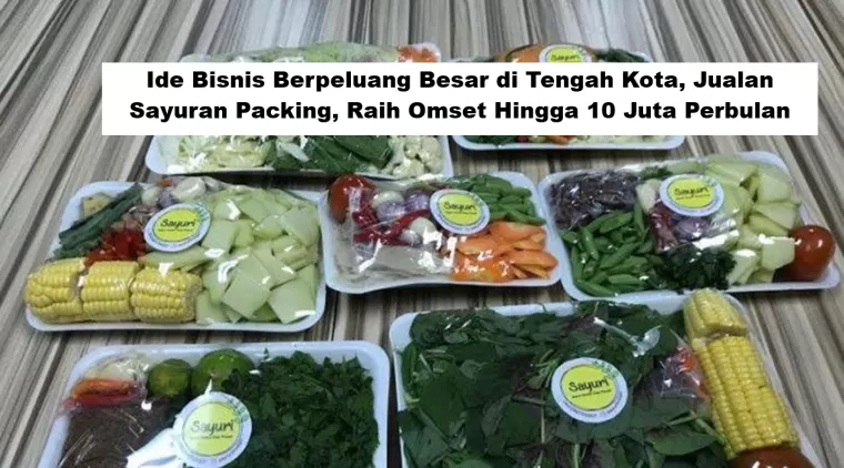 Ide Bisnis Berpeluang Besar di Tengah Kota, Jualan Sayuran Packing, Raih Omset Hingga 10 Juta Perbulan