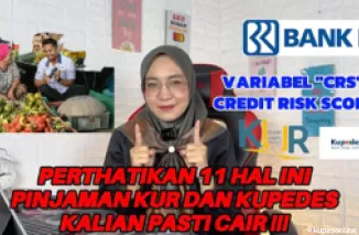 11 Variabel yang Mempengaruhi Persetujuan Pinjaman KUR BRI 2024