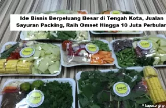 Ide Bisnis Berpeluang Besar di Tengah Kota, Jualan Sayuran Packing, Raih Omset Hingga 10 Juta Perbulan