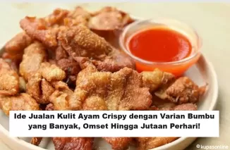 Ide Jualan Kulit Ayam Crispy dengan Varian Bumbu yang Banyak, Omset Hingga Jutaan Perhari!