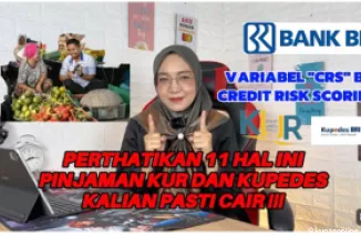 Rahasia Sukses Pengajuan KUR dan Kupedes di Bank BRI, Tips Ampuh Agar Pinjaman Kamu Lolos dan Cair!