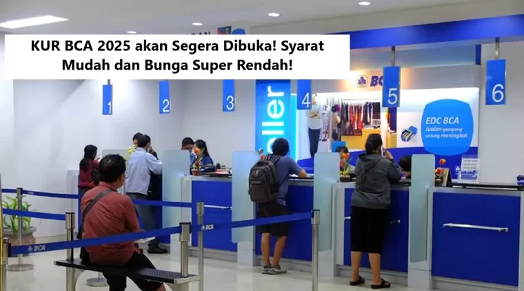 KUR BCA 2025 akan Segera Dibuka! Syarat Mudah dan Bunga Super Rendah!