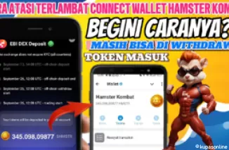 Begini Cara Mengatasi Keterlambatan Connect Wallet Hamster Kombat, Cara Cepat Hanya 2 Menit!