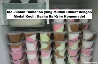 Ide Jualan Rumahan yang Mudah Dibuat dengan Modal Kecil, Usaha Es Krim Homemade!