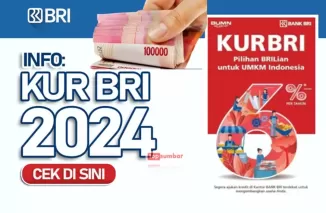 Panduan Syarat dan Proses Pengajuan KUR BRI untuk Tahun 2024-2025