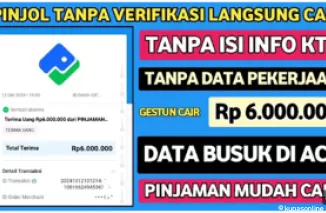 2 Aplikasi Pinjaman Online Tanpa Verifikasi KTP! Cairkan Hingga Rp6 Juta ke DANA