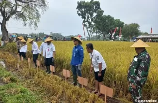 Pelaksanaan panen raya padi di desa Butun, Kec Gandusari Kab Blitar