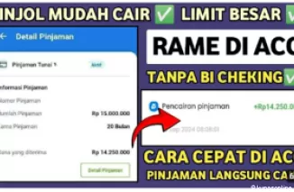 Pengajuan Pinjaman Online Tanpa Verifikasi Hanya dengan KTP, Cair Rp15 Juta