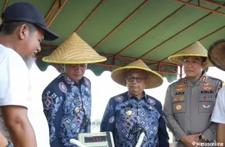 Bupati dan Wakil Bupati Blitar hadiri Serap gabah petani oleh Bulog di Selopuro