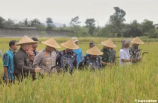 Kapolres Blitar Bersama Bupati dan Forkopimda Laksanakan Panen Raya di Kabupaten Blitar