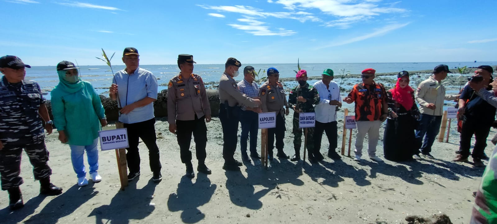 Aksi Hijaukan Bumi, Kelompok Tani Hutan Sejahtera Sergai, Tanam 200.000 Pohon Mangrove