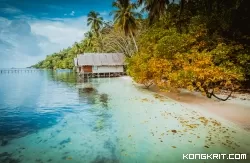 Raja Ampat Vibes, 5 Resor Keren untuk Liburan Hits dan Tak Terlupakan! (Foto : Dok. Istimewa)