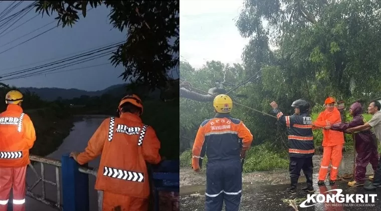 Petugas BPBD Tulungagung saat mengevakuasi pohon tumbang yang merintangi jalan raya