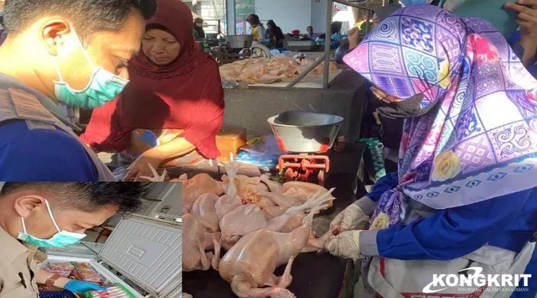 Petugas Disnakkeswan Tulungagung saat melakukan pengawasan Produk Ayam Ras di Pasar Tradisional. (Insert : Petugas saat melakukan pengawasan ilahan asal Hewan di salah satu Retail Frozen Food)