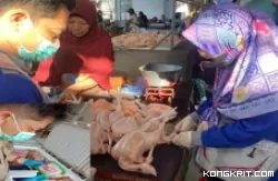 Petugas Disnakkeswan Tulungagung saat melakukan pengawasan Produk Ayam Ras di Pasar Tradisional. (Insert : Petugas saat melakukan pengawasan ilahan asal Hewan di salah satu Retail Frozen Food)