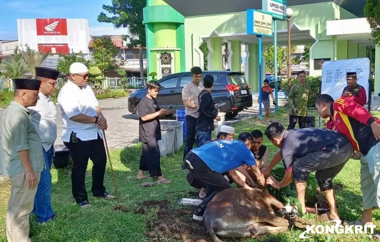 Berkurban di Masjid Agung Nurul Iman, Andree Algamar 8.047 Hewan Kurban Telah Disembelih di Kota Padang