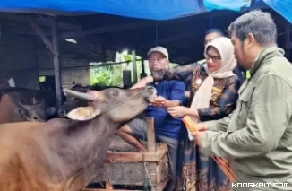 Jelang Idul Adha, Dinas Pertanian Kota Padang Pastikan Seluruh Hewan Kurban dalam Kategori ASUH
