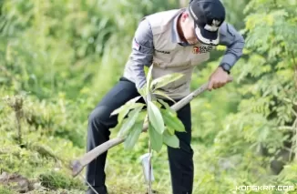 Wawako Solok Pimpin Penanaman 21 Batang Pohon Bintaro dalam Peringatan Hari Lingkungan Hidup Sedunia