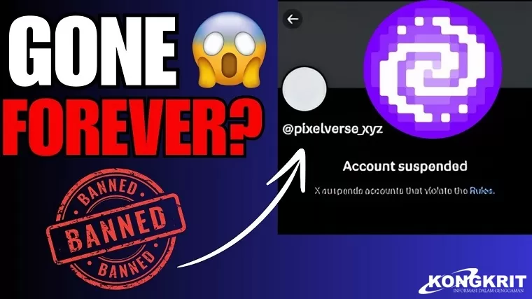 Akun Twitter Pixelverse Terkena Suspend, Apakah Ini Pertanda Scam? (Foto: Dok.Istimewa)