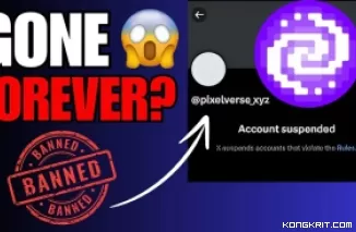 Akun Twitter Pixelverse Terkena Suspend, Apakah Ini Pertanda Scam? (Foto: Dok.Istimewa)