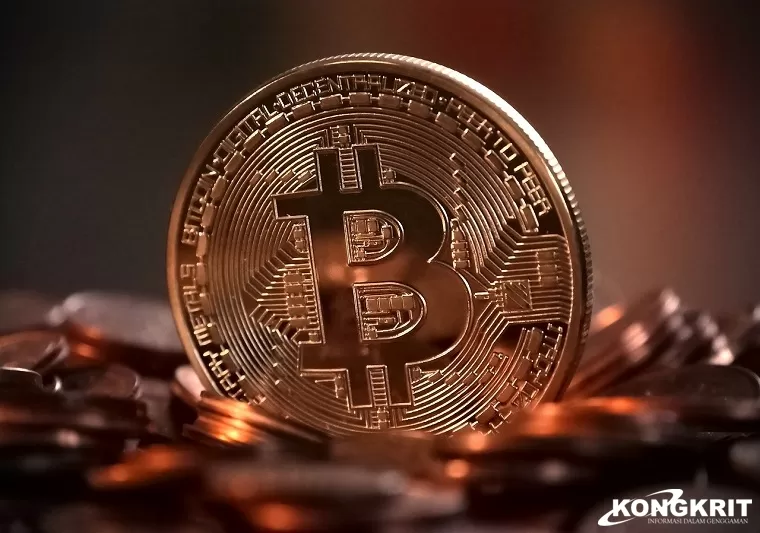 Pasar Crypto Bergolak, Bitcoin dan Pepe Melambung (Foto: Dok.Istimewa)